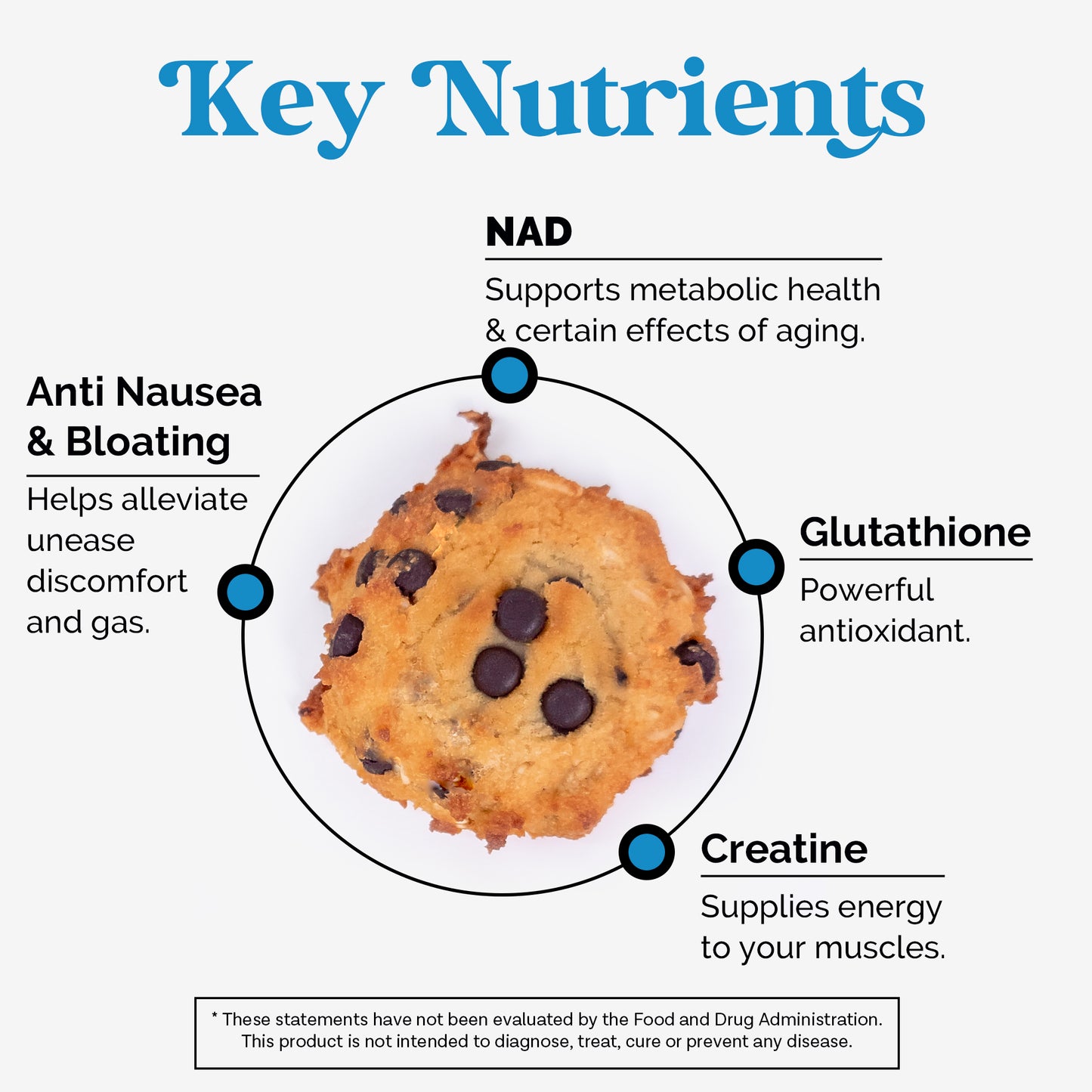 Semaglutide Diet Support Cookies (9 ct.)